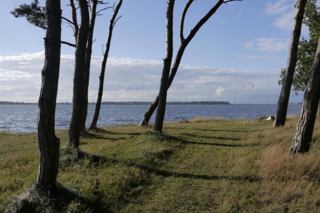 Fewo 08 Seemoewe Mit Blick Auf Salzhaff Und Ostsee Rerik Exteriér fotografie